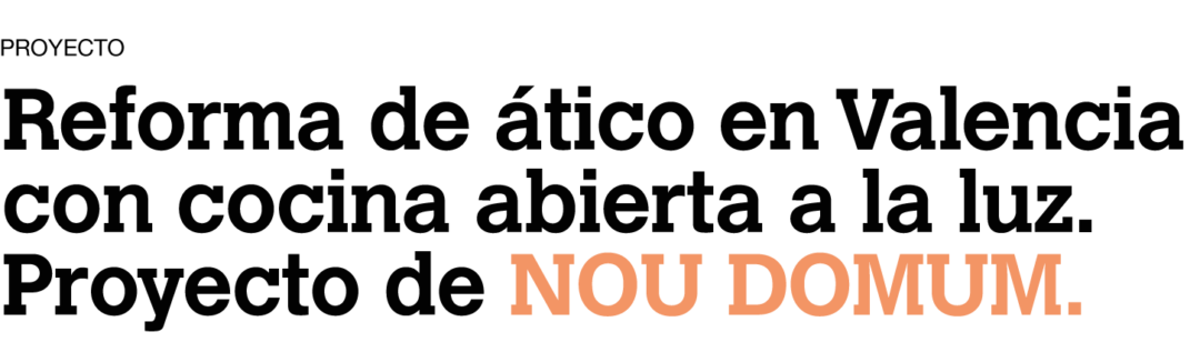titular-proyecto-atico-nou-domum