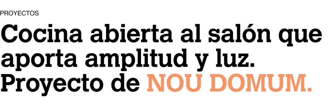 titular-proyecto-nou-domum